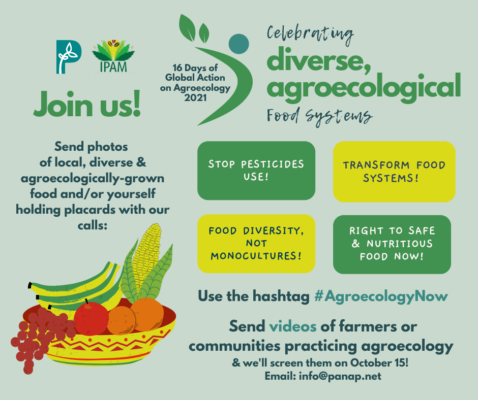 16 Days Of Global Action On Agroecology 2021 Celebrating Diverse