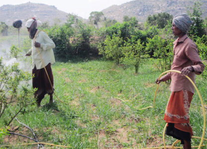 Billions In Highly Hazardous Pesticides Profits Show Need For Corporate Accountability