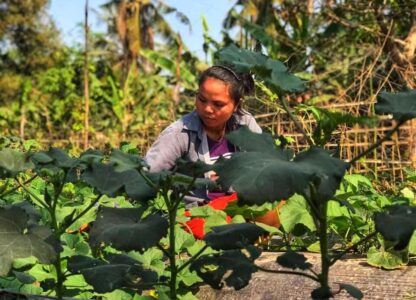 #FoodAndRightsNow: Advance Food Sovereignty And Agroecology To Help Address COVID-19 Crisis