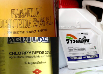 Thailand Ban On 3 Highly Hazardous Pesticides: A Victory For Farmers And Children