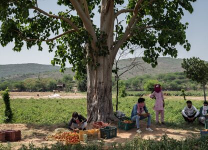 Food And Rights Talk: Fear And Hunger In Rural India