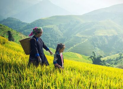 PANAP Submission to the UN SR on the Right to Food