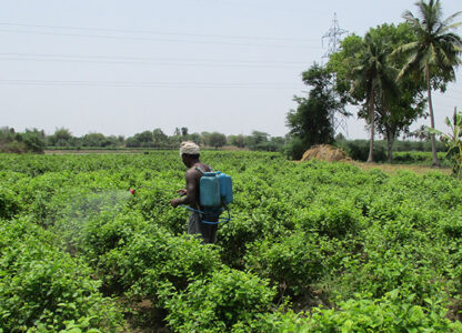 Triple COPs urged: Replace Pesticides with Agroecology for ‘Clean Planet, Healthy People’