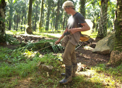 Community Monitoring Shows Pattern of Labour Violations in Southeast Asia Plantations