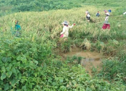 Food And Rights Talk: COVID-19 Worsens Injustice in Indonesia