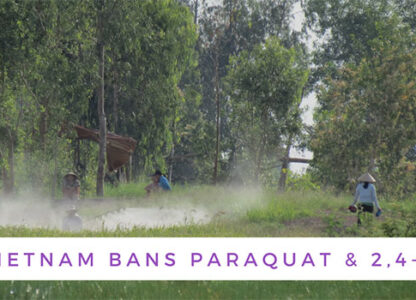 PAN Vietnam Welcomes the Ban of Paraquat and 2,4-D