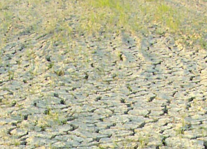 Global network responds to UN Symposium on Soil Pollution: PAN International calls for investment in agroecology