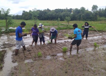 Sri Lanka applauded for life-saving pesticides ban, winning ‘Oscars on Best Policies’