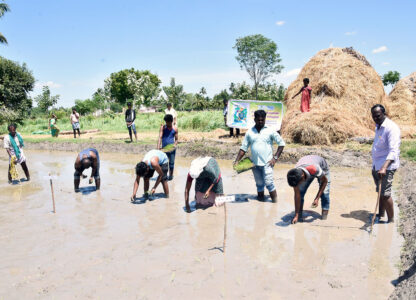 16 Days of Global Action on Agroecology celebrates diverse, agroecological food systems