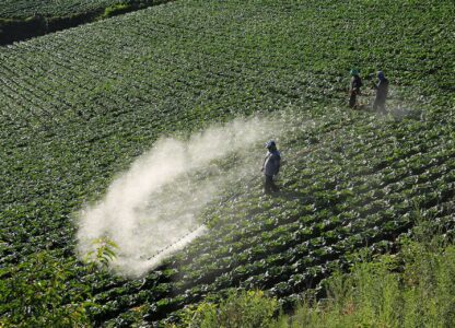 Global network congratulates countries phasing-out Highly Hazardous Pesticides; urges FAO to commit to global HHPs phase-out by 2030