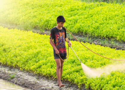 PANAP welcomes UN experts’ call to address rising child labour in agriculture, protect children from toxic pesticides
