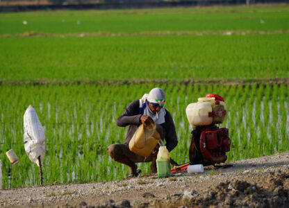 274 Global South civil society groups: Yes to German export ban on EU-banned pesticides