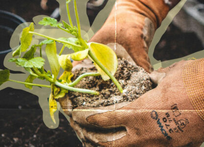 Earth Day Call: Transforming Food Systems Through Agroecology