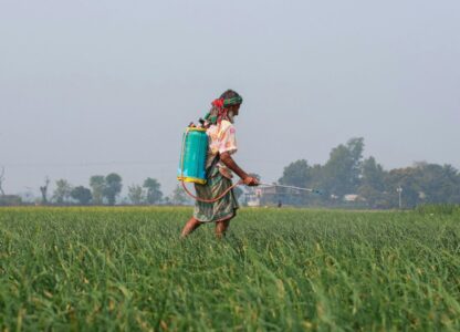 Lawmaker Urges Ban on Deadly Herbicide Paraquat Dichloride