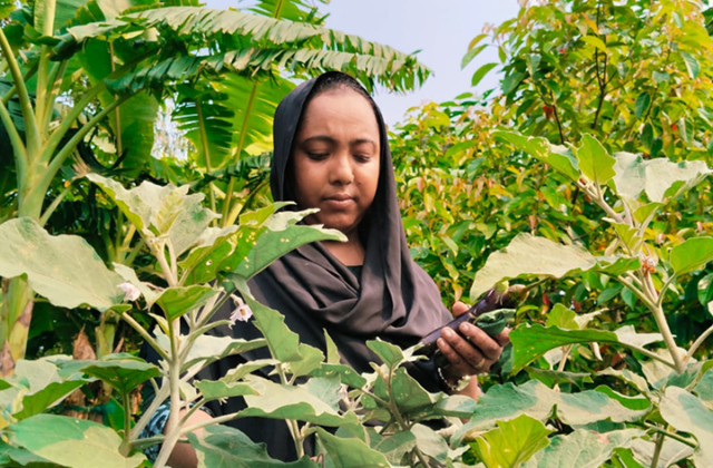 400 Women, 1000 Gardens: How Agroecology Is Transforming Rural Bangladesh