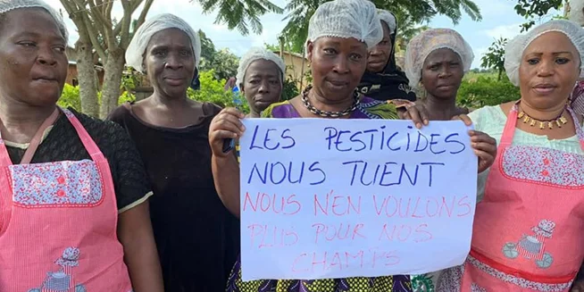 16 Days of Global Action on Agroecology — Africa