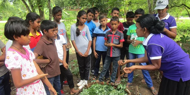 16 Days of Global Action on Agroecology — Sri Lanka