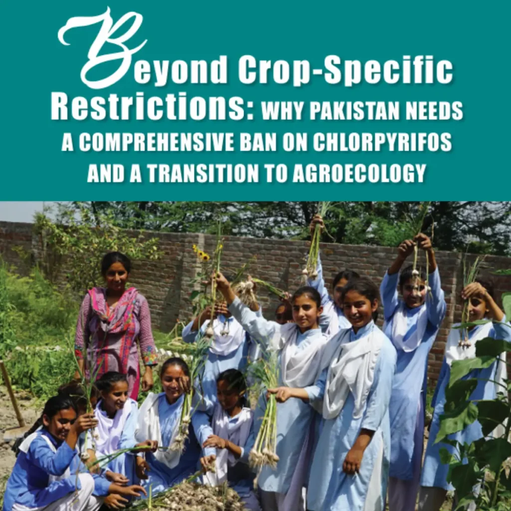 Beyond Crop-Specific Restrictions: Why Pakistan Needs A Comprehensive Ban On Chlorpyrifos and a Transition to Agroecology