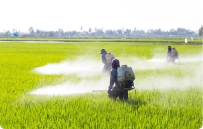 Campaign: Ban Highly Hazardous Pesticides