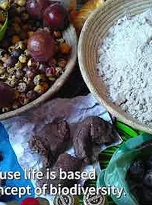 What is Healthy Living?