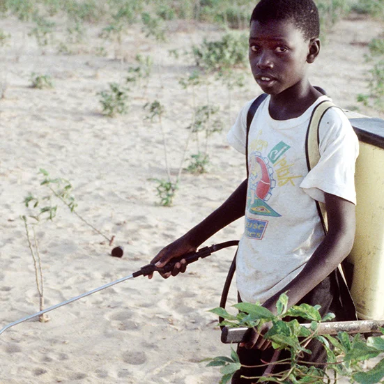 Children playing beside a sprayed field