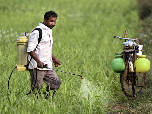 A farmer in protective equipment spraying a crop