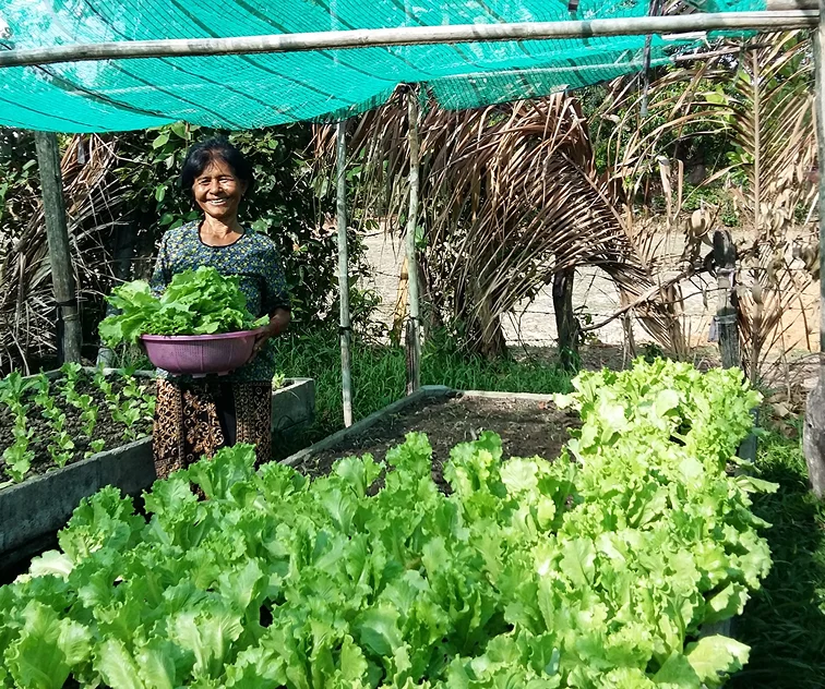 IPAM field learning site: hands holding harvested produce