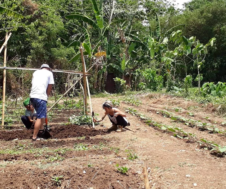 IPAM field learning site: a community seed exchange