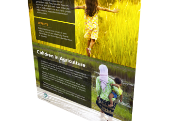 Why Protect Our Children From Toxic Pesticides?