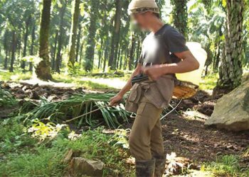 PAN Philippines’ Position in the Upcoming TriCOPs 2019