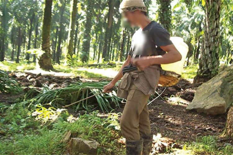 PAN Philippines’ Position in the Upcoming TriCOPs 2019