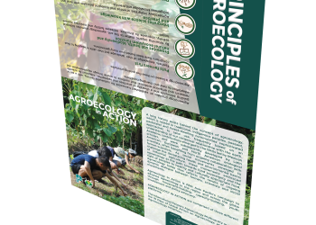 Agroecology In Action