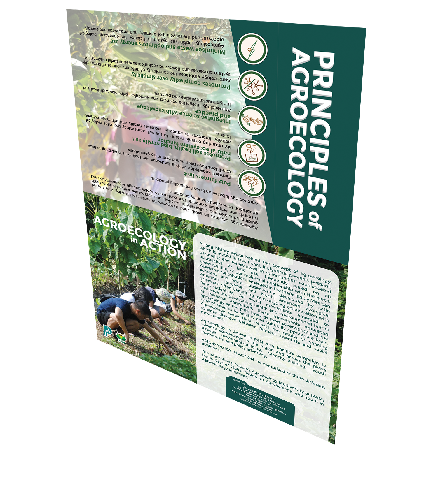 Agroecology In Action