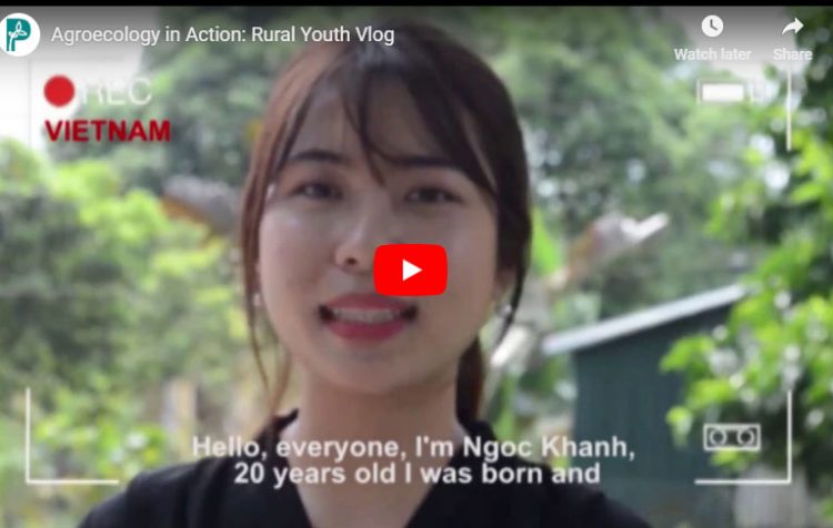 Agroecology In Action: Rural Youth Vlog