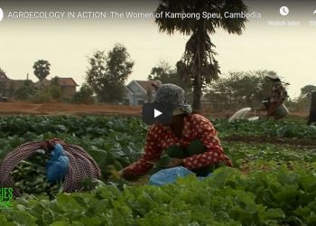 Agroecology In Action: The Women Of Kampong Speu, Cambodia
