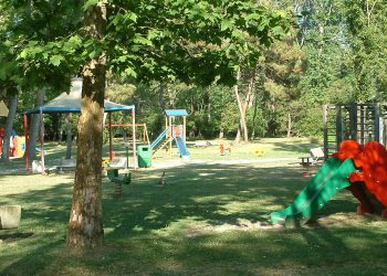 Children’s Playgrounds Contaminated With Pesticides From Apple And Wine Orchards