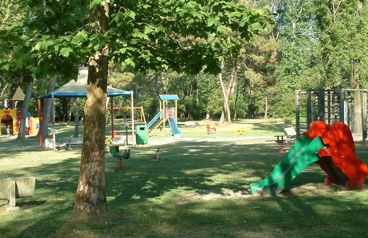 Children’s Playgrounds Contaminated With Pesticides From Apple And Wine Orchards
