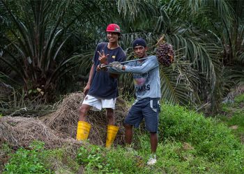 Upholding Labor Standards For Agricultural Workers, More Urgent During COVID-19 Crisis – PANAP