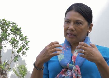 Towards A Non-Toxic Environment In South-East Asia: “Lessons Learned – PANAP Component”