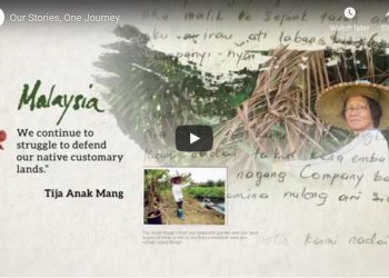 Our Stories, One Journey