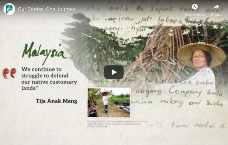 Our Stories, One Journey