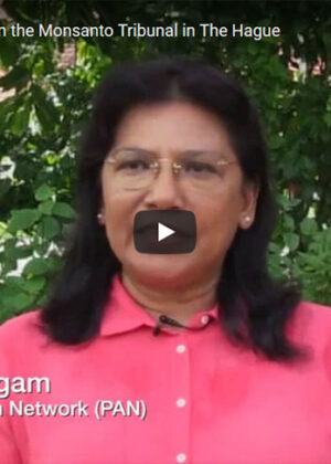 Sarojeni Rengam On The Monsanto Tribunal In The Hague