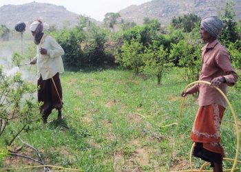 Billions In Highly Hazardous Pesticides Profits Show Need For Corporate Accountability