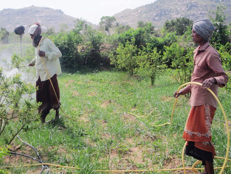 Billions In Highly Hazardous Pesticides Profits Show Need For Corporate Accountability