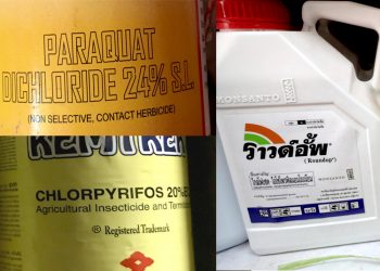 Thailand Ban On 3 Highly Hazardous Pesticides: A Victory For Farmers And Children