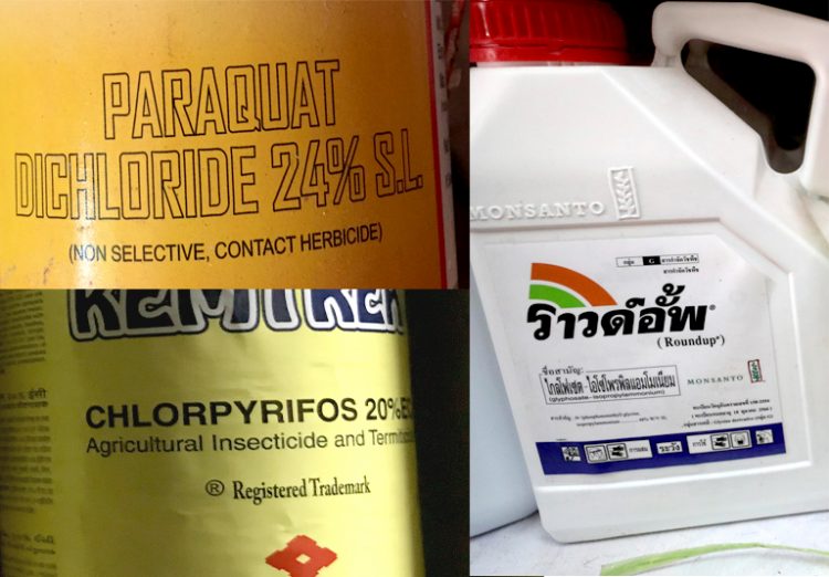 Thailand Ban On 3 Highly Hazardous Pesticides: A Victory For Farmers And Children