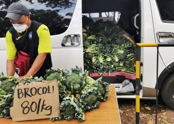 Assert And Defend The Rights Of Rural And All Toiling Peoples Amid The COVID-19 Pandemic!