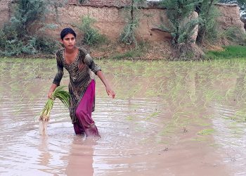IWD 2020: Asian Rural Women Call For Food Sovereignty And Gender Justice