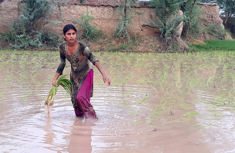 IWD 2020: Asian Rural Women Call For Food Sovereignty And Gender Justice