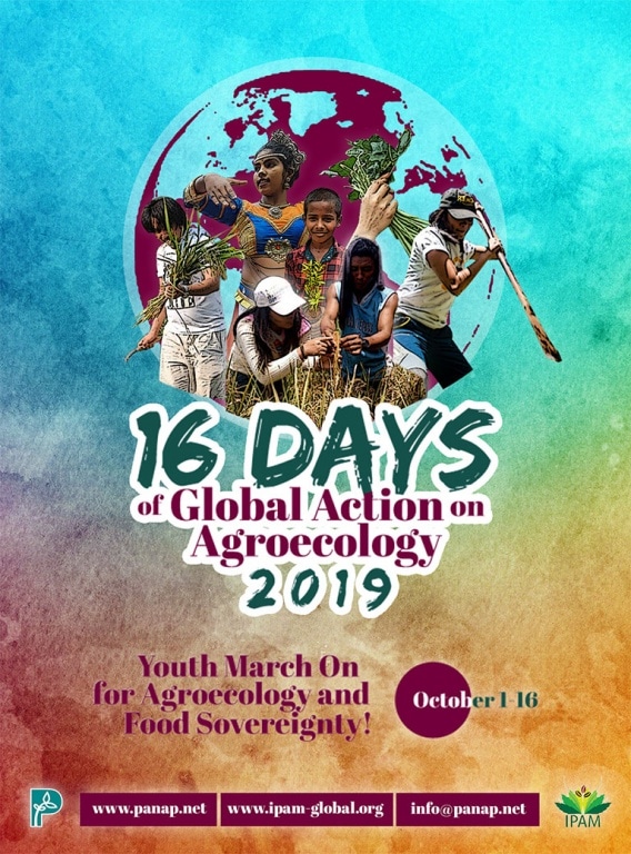 The Youth March On: 16 Days of Global Action on Agroecology 2019 kicks off